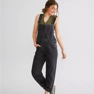 We The Free Ziggy Denim Overalls